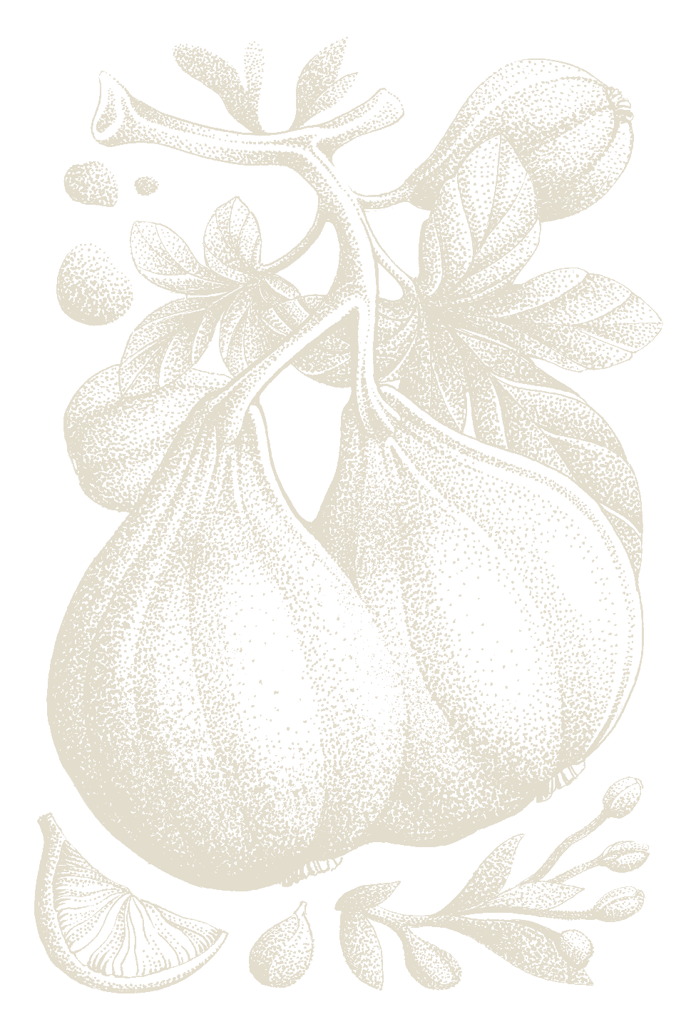 Verbinding